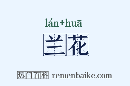 兰花是什么意思的图片